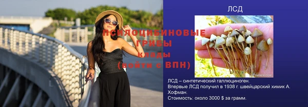 трава Богородицк