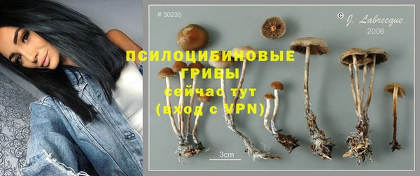 ешки Богданович