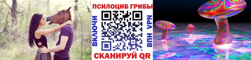 Купить  Кукмор  Галлюциногенные грибы Psilocybine cubensis 